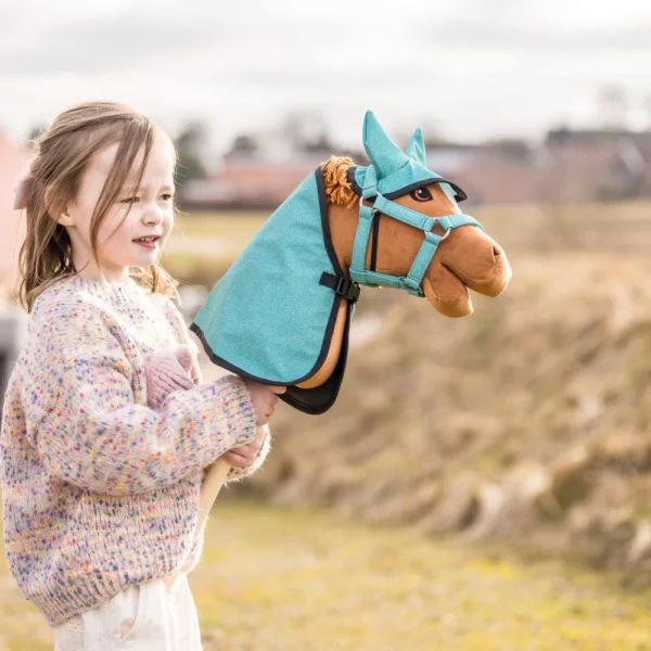 Starter sets hobbyhorse