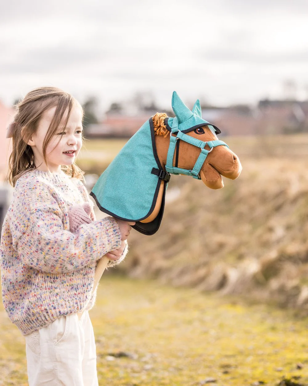 Starter sets hobbyhorse