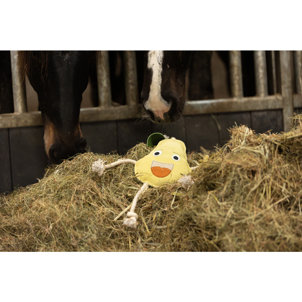 Speelplezier voor paarden