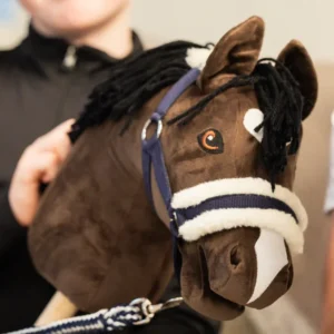 Halstertouw jongen met hobbyhorse en halster en halstertouw