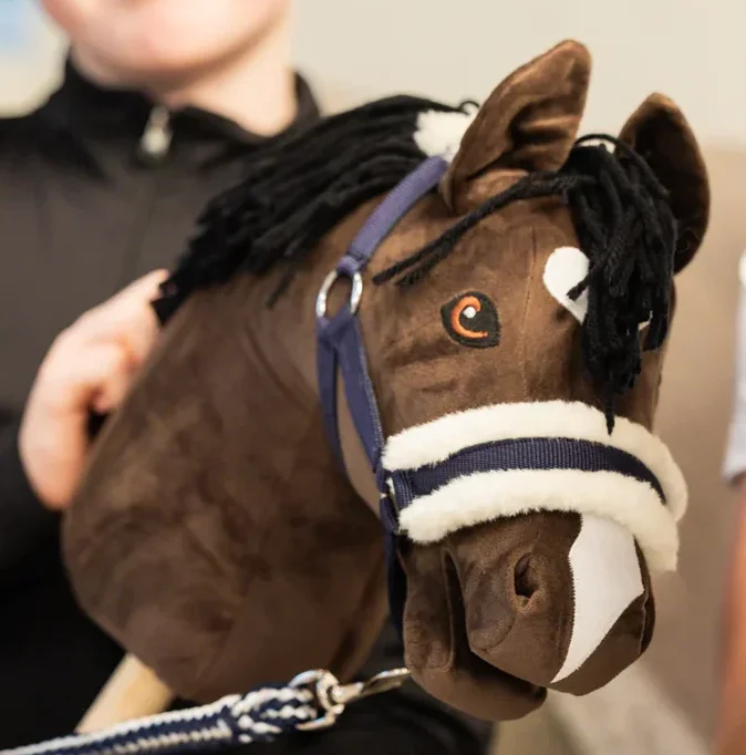 Halstertouw jongen met hobbyhorse en halster en halstertouw